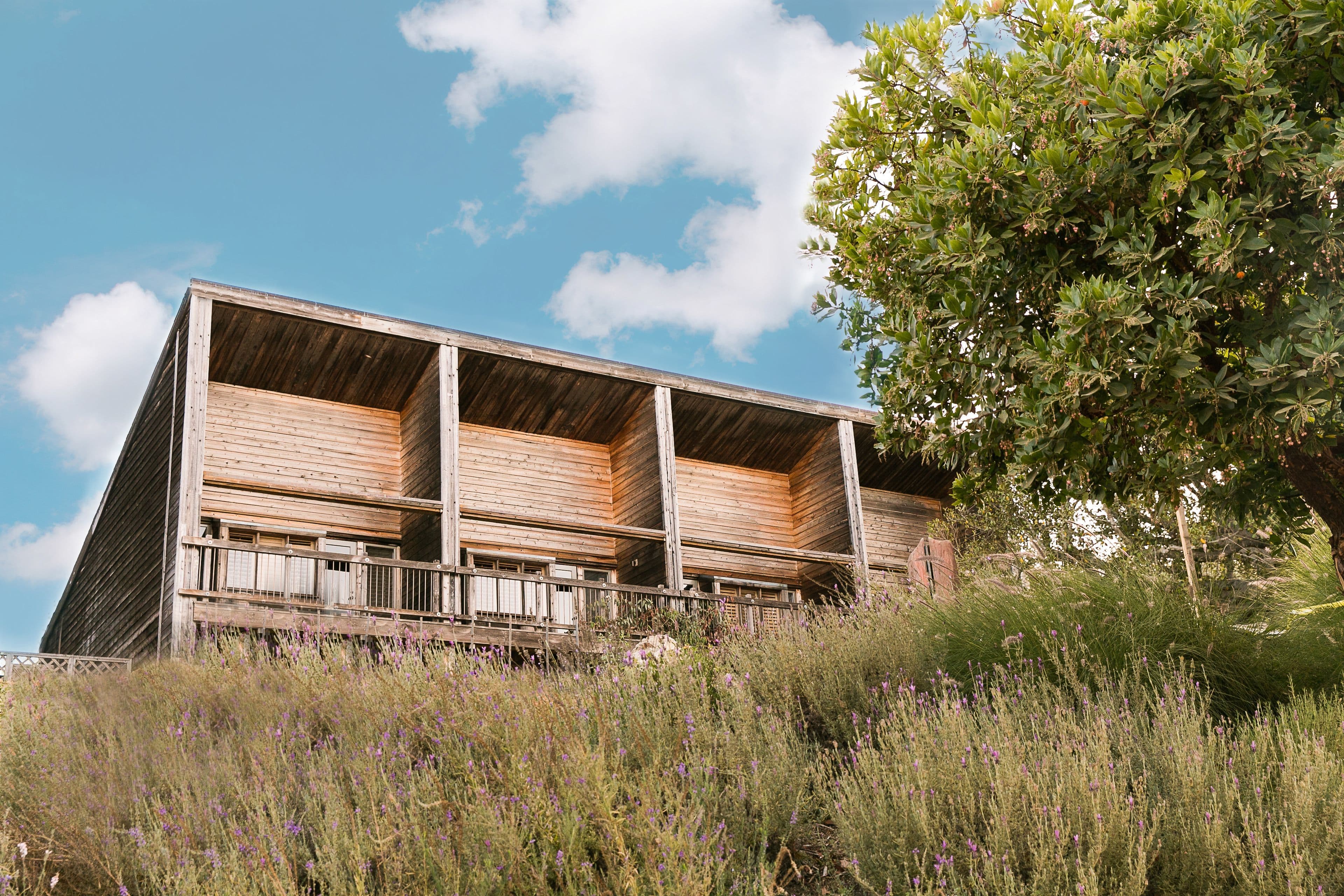 Alila Ventana Big Sur